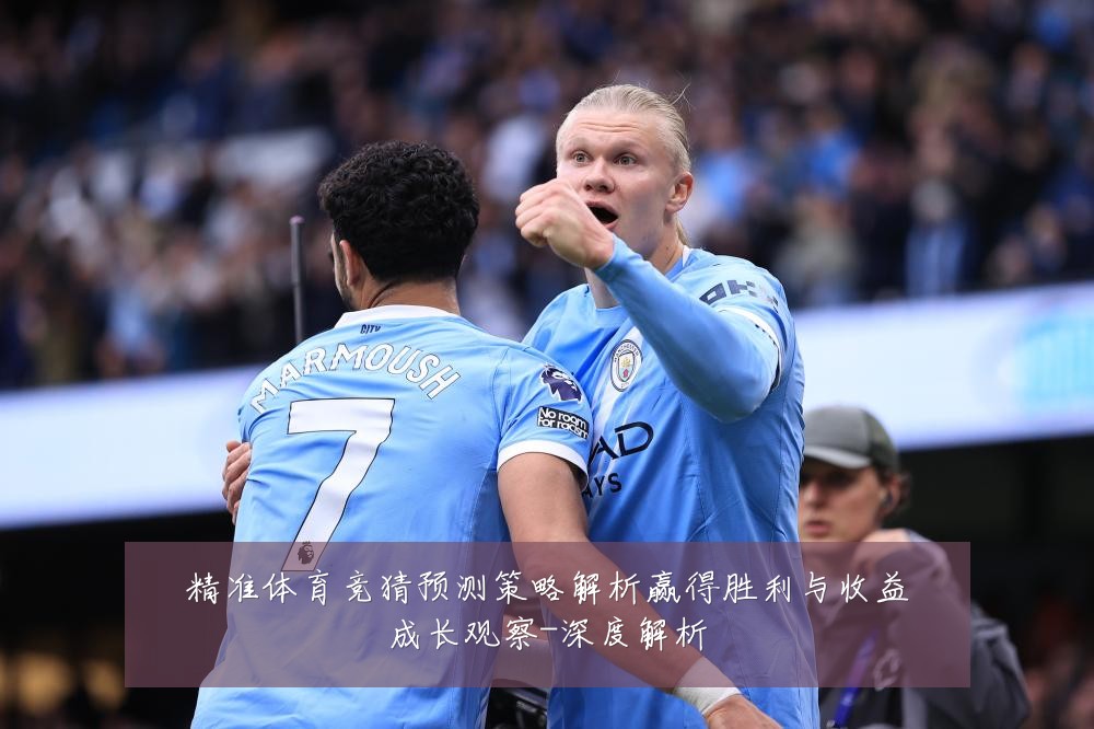 精准体育竞猜预测策略解析赢得胜利与收益成长观察-深度解析